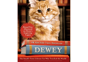 Dewy The Library Cat