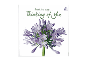 Just to say Thinking of You