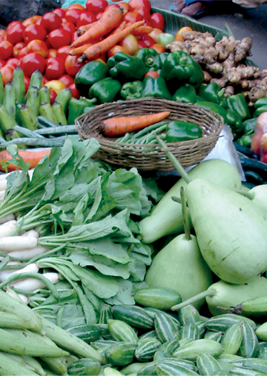 Vegetable Seed Basket