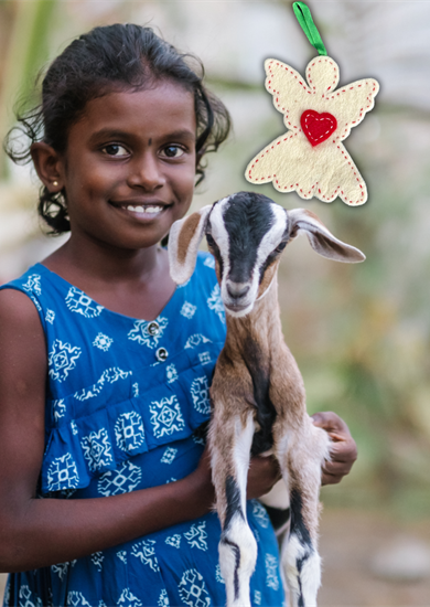 Goat for a Kid