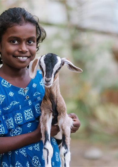 Goat for a Kid